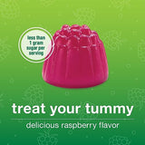 Youtheory Spore Probiotic Zero Sugar Gummies 60ct