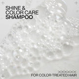 Redken Acid Color Gloss Shampoo, 10.1 fl oz