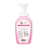 Arau Baby Foam Bottle Wash, 17 fl oz