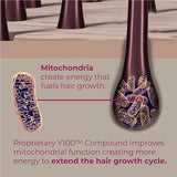 BosleyMD Revive+ Densifying Hair Foam 2.11 oz