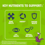 Flintstone Complete Support Multivitamin Gummies 90ct