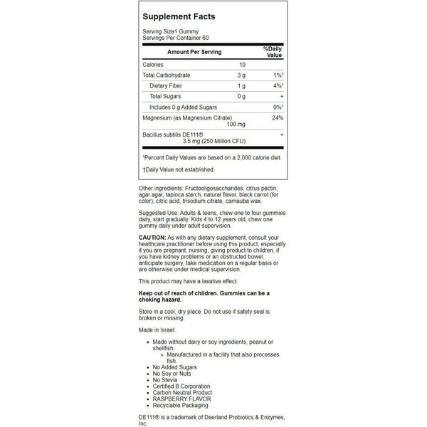 Garden Of Life Magnesium Raspberry Gummies 60ct