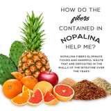 Nopalina Fiber Colon Detox 16oz