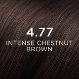 Phyto Color Permanent Intense Chestnut Brunette No. 4.77