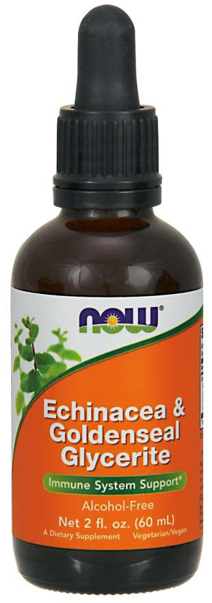 Now Echinacea Goldenseal Glycerite Alcohol Free 2 Fl Oz