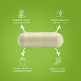 Natuvitz Ashwagandha 1300mg Vegetarian Capsules