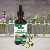 NATURES ANSWER OLIVE LEAF EXTRACT 2 Oz