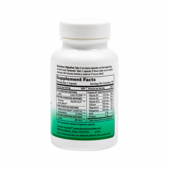 Dynamic Enzymes Lipase Plus Fat Digestion 45 Capsules