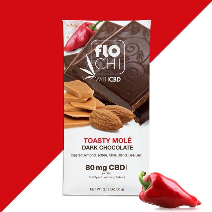 Irwin Naturals Toasty MolŽ Dark Chocolate Bar +80mg CBD