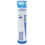 Boiron Cinchona Officinalis 6C relieves diarrhea with gas and bloating, 80 Pellets