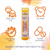 Boiron Childrens ColdCalm, Homeopathic Medicine for Cold Relief, Sneezing, Runny Nose, Nasal Congestion, Minor Sore Throat, 2 x 80 Pellets