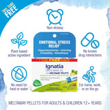 Boiron Ignatia Amara 30C Bonus Pack, Homeopathic Medicine for Emotional Stress Relief, Hypersensitivity, Grieving, Irritability, Moodiness, 3 x 80 Pellets