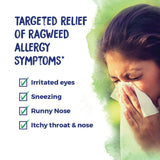 Boiron Ambrosia 30C Bonus Pack, Homeopathic Medicine for Ragweed Allergy Relief, Runny Nose, Irritated Eyes, Sneezing, Itchy Throat, 3 x 80 Pellets