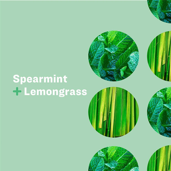 EVERYONE HAND SOAP SPEARMINT+LEMON 12.75 Oz