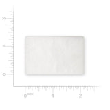 Resmed S9 & Airsense10 Filter Std 36851 2ct