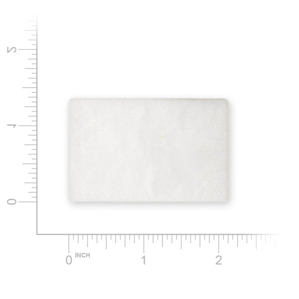 Resmed S9 & Airsense10 Filter Std 36851 2ct