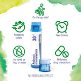 Boiron Ambrosia 30C Single Pack Ragweed Allergy Relief, Runny Nose, Irritated Eyes, Sneezing, Itchy Throat, 80 Pellets